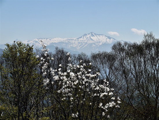 山行報告 「天蓋山」 1527.3m 山行報告 「天蓋山」 1527.3m