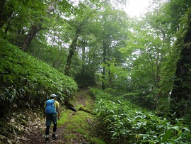 山行報告 「船山」 1479.5m 山行報告 「船山」 1479.5m