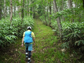 山行報告 「船山」 1479.5m 山行報告 「船山」 1479.5m