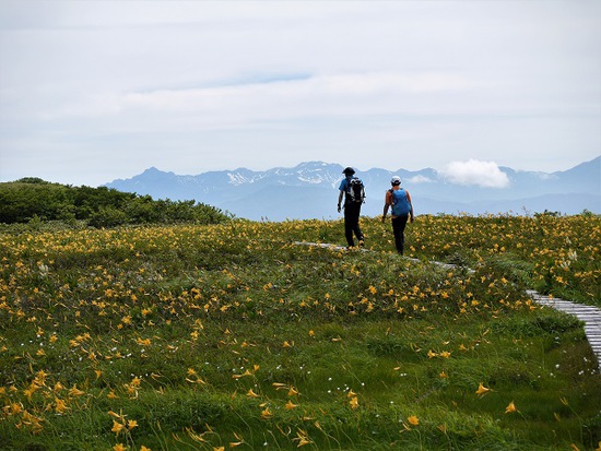 山行報告 「白木峰」 山行報告 「白木峰」