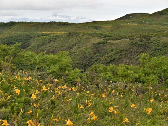 山行報告 「白木峰」 山行報告 「白木峰」