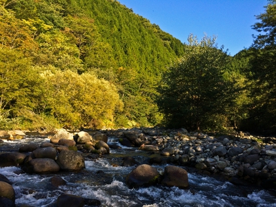 釣行日誌【よく釣れた!】 釣行日誌【よく釣れた!】