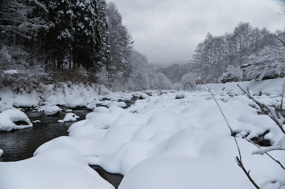 今日の秋神川【着雪】 今日の秋神川【着雪】