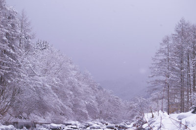 今日の秋神川【春の吹雪】 今日の秋神川【春の吹雪】