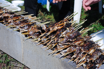 第72回秋神川アマゴ釣り大会 第72回秋神川アマゴ釣り大会
