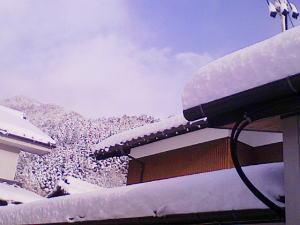 いきなり!大雪