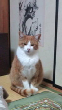 はじめました!