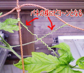 凄いね~・・・