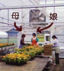 今日も・・・