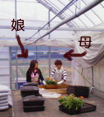 今日も・・・