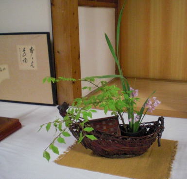 目と心の保養