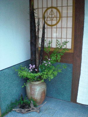 目と心の保養