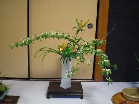 目と心の保養