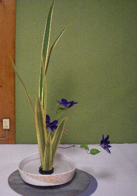 目と心の保養