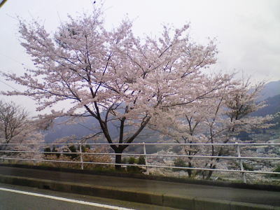 ジークフリーダの・・・・・