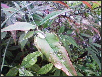 水