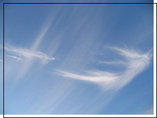 空 秋