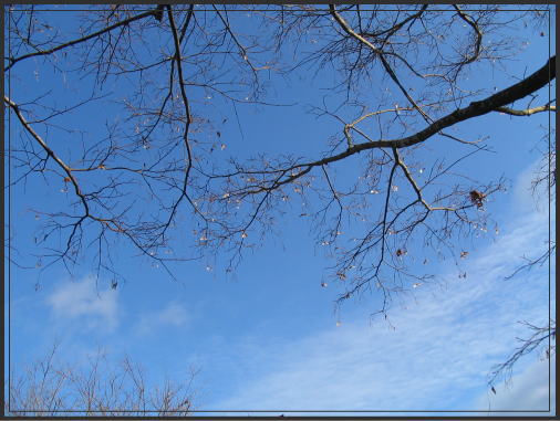 青空