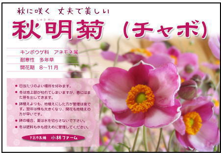 どうした・・・・・・