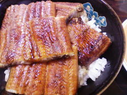野田岩のうなぎ