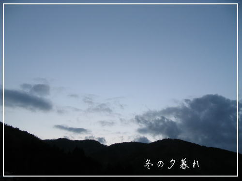 11月も・・・