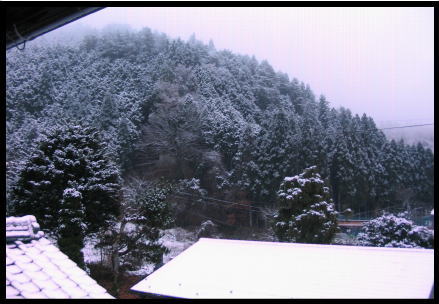 雪が積もりました