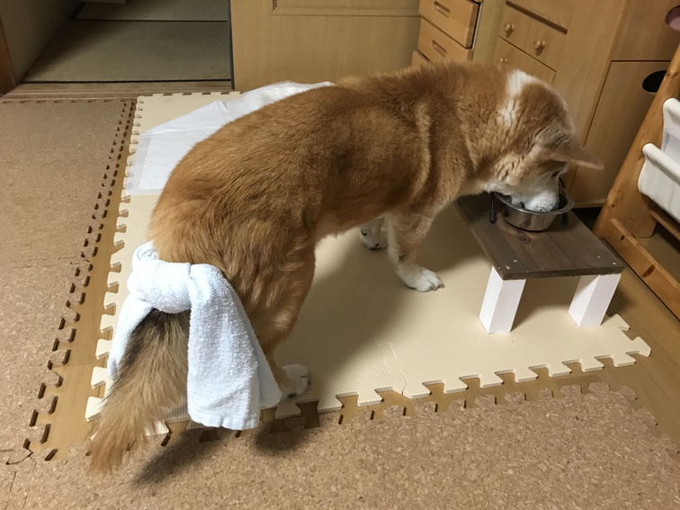 *延期のお知らせ* *延期のお知らせ*