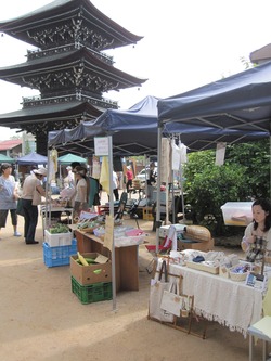 明日は国分寺八日市