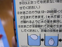 恐竜のたまご