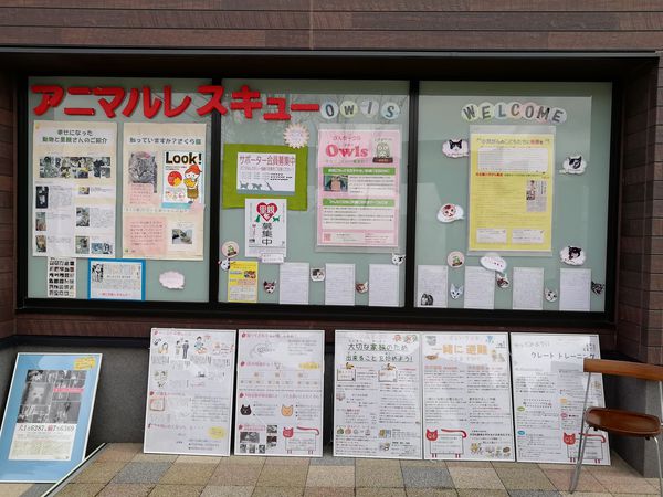 まちスポ飛騨高山文化祭&フレスポ飛騨高山6周年祭終了しました! まちスポ飛騨高山文化祭&フレスポ飛騨高山6周年祭終了しました!