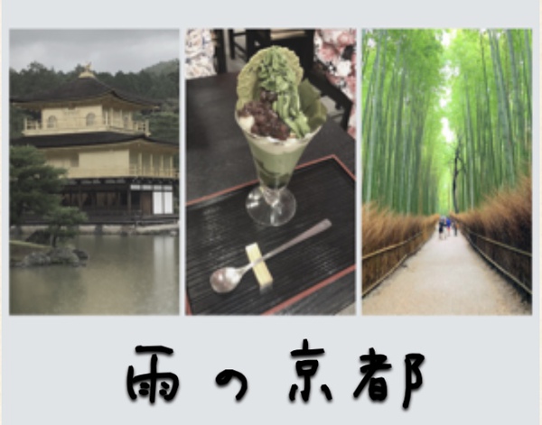 雨の京都旅行 雨の京都旅行