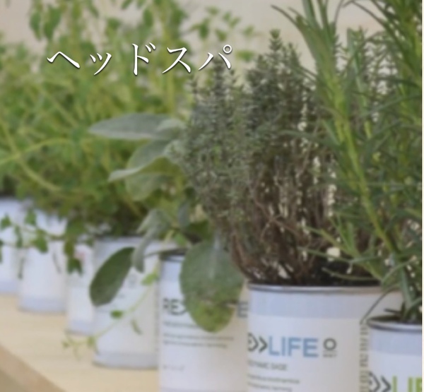 明日は定休日です 明日は定休日です
