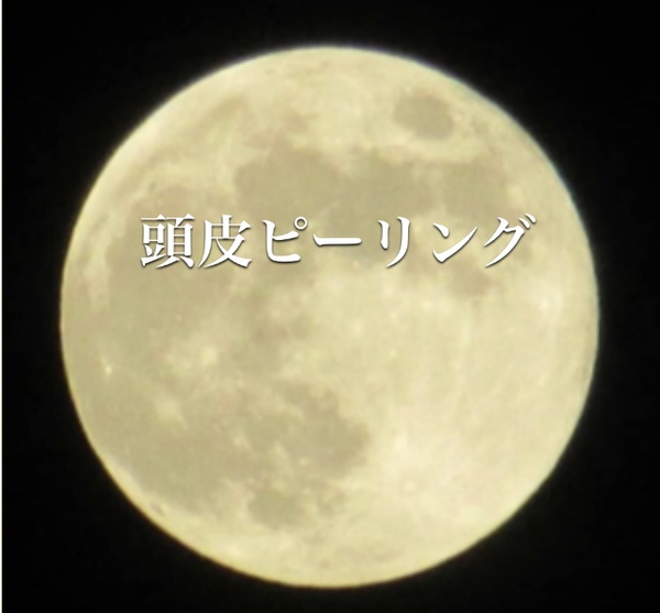 明日は定休日です 明日は定休日です