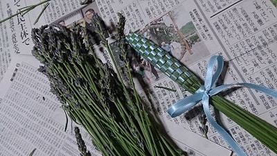ひだ清見ラベンダーフェア① ひだ清見ラベンダーフェア①
