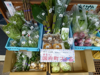 初登場の野菜! 初登場の野菜!