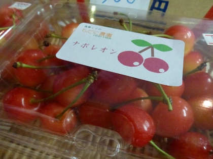今シーズン最終入荷|д゚) 今シーズン最終入荷|д゚)