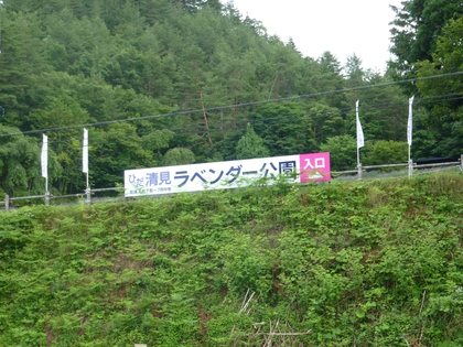 ひだ清見ラベンダー公園で(^^) ひだ清見ラベンダー公園で(^^)