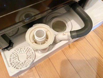 ショック!買ってきた種が… ショック!買ってきた種が…