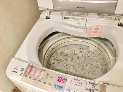 カーテンのカビもまるで新品! カーテンのカビもまるで新品!