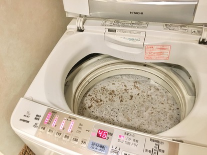 トイレ洗剤と台所洗剤、違いは◯◯だけ!? トイレ洗剤と台所洗剤、違いは◯◯だけ!?
