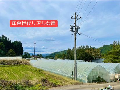 20万じゃ生きていくだけだよ! 20万じゃ生きていくだけだよ!