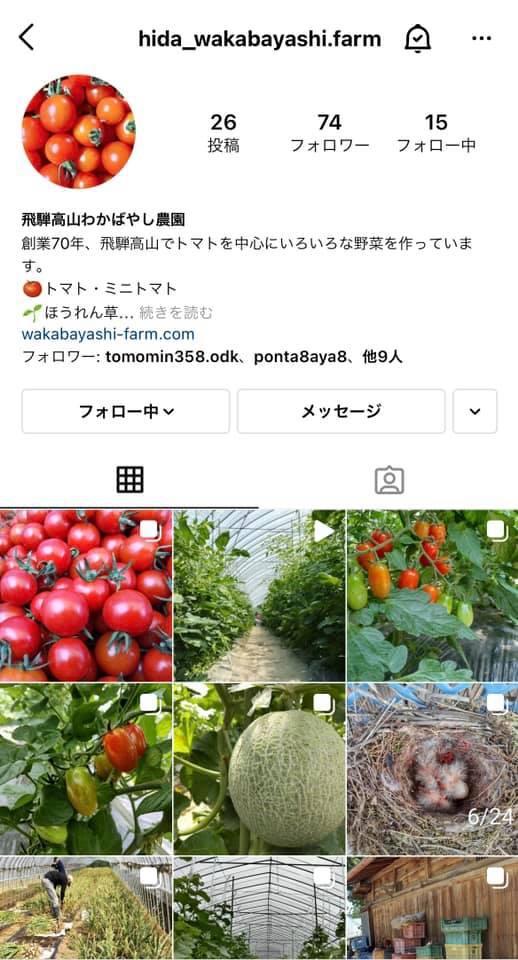 【丹生川】若林農園での収穫はこんな感じ 【丹生川】若林農園での収穫はこんな感じ