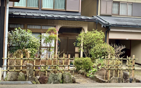 ミツバツツジです ミツバツツジです