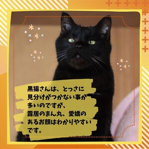 愛嬌ある、露居(ろい) 愛嬌ある、露居(ろい)