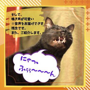 愛嬌ある、露居(ろい) 愛嬌ある、露居(ろい)