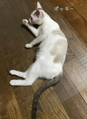 ♬ 一族で~す (^^♪ ♬ 一族で~す (^^♪