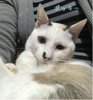 ♬ 一族で~す (^^♪ ♬ 一族で~す (^^♪