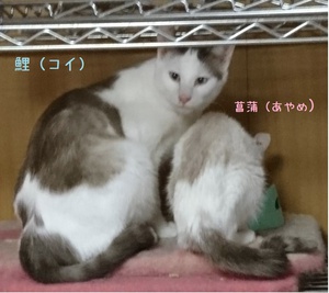 ♬ 一族で~す (^^♪ ♬ 一族で~す (^^♪