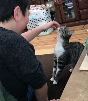 ☆彡幸せ待ってました♡ ☆彡幸せ待ってました♡