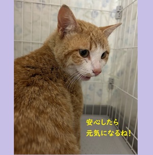 【遠くからやってきました!】 【遠くからやってきました!】